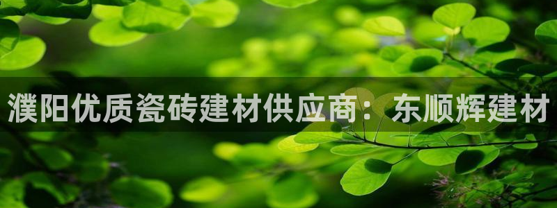 杏鑫3主管