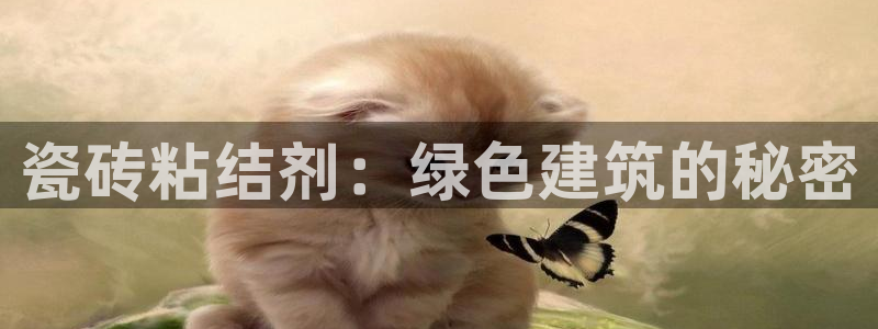 杏鑫官方app代理