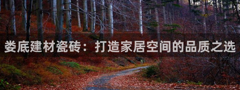 杏鑫平台代理怎么样赚钱
