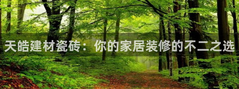 杏鑫平台野马联盟怎么样