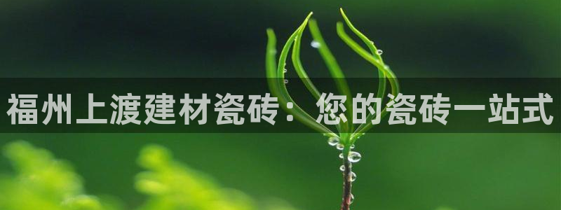 杏鑫平台平台娱乐