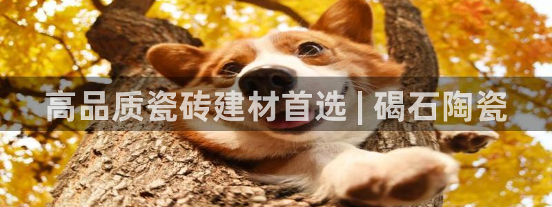 杏鑫平台代理怎么样可靠吗