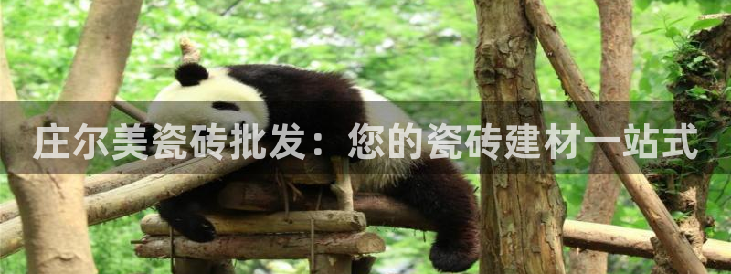 杏鑫娱乐官方网站客户端下载安装