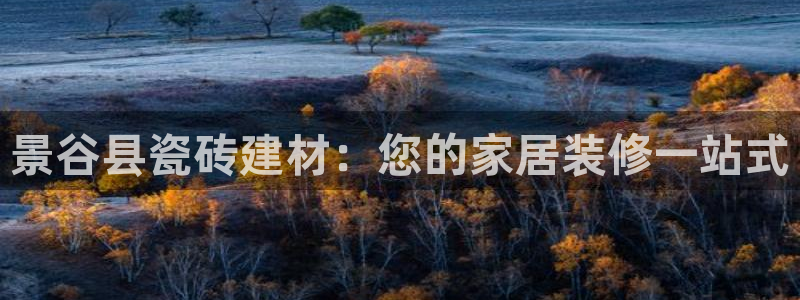 杏鑫官方平台怎么样