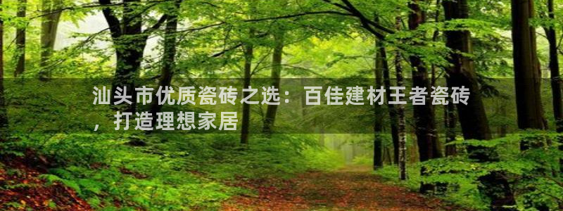 杏鑫官网最新信息