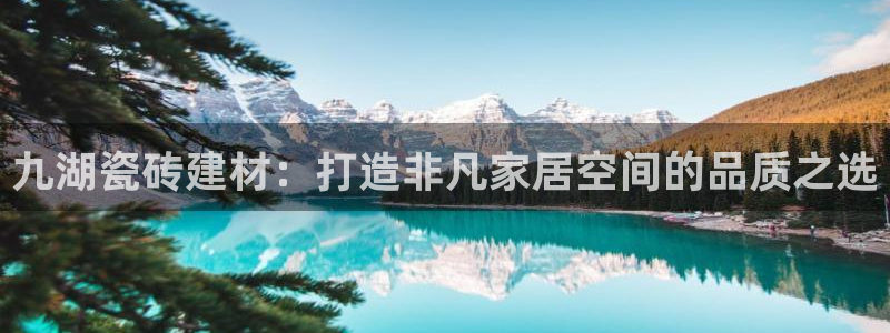 杏鑫平台招商