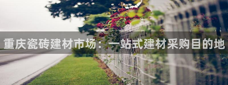 杏鑫平台怎么样