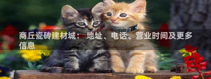 杏鑫平台靠谱吗