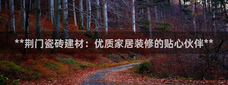 杏鑫平台在线注册流程