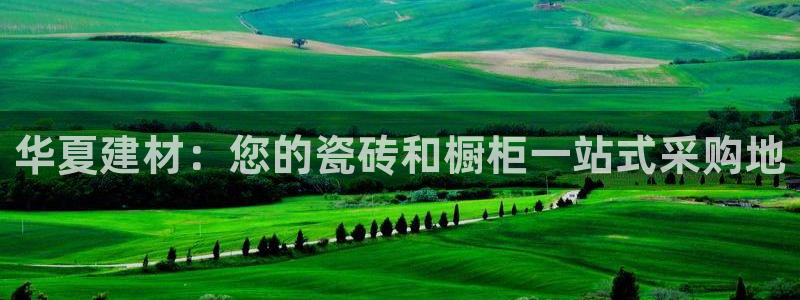 杏鑫注册登录网址是什么