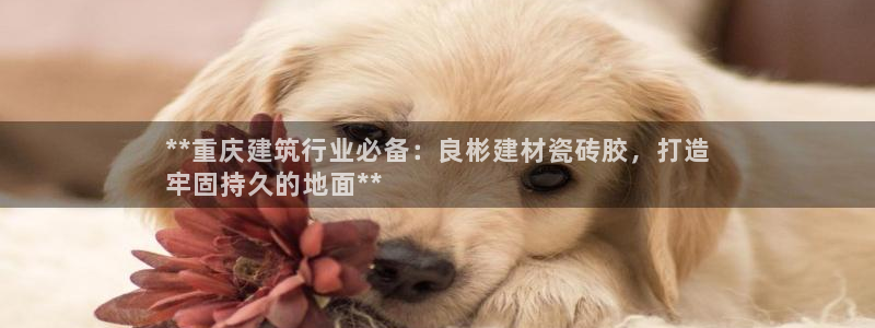 杏鑫平台列7O777