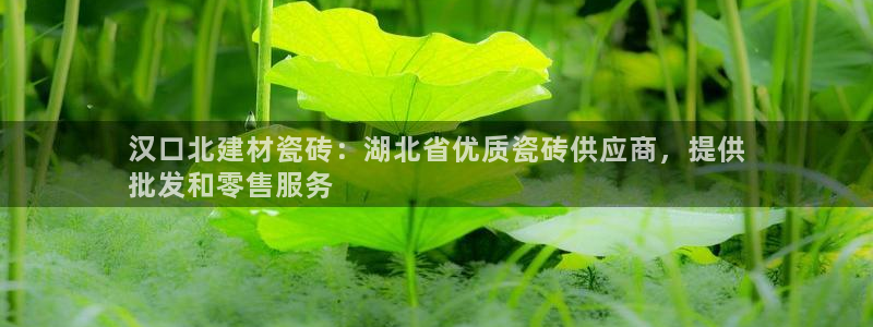 杏鑫娱乐官方网站客户端