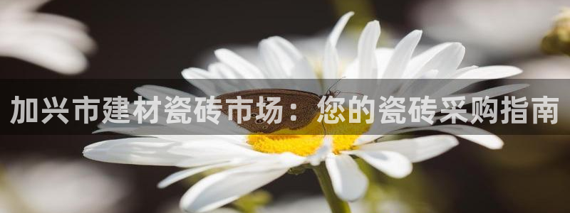 杏鑫平台怎么样黑钱吗安全吗是真的吗