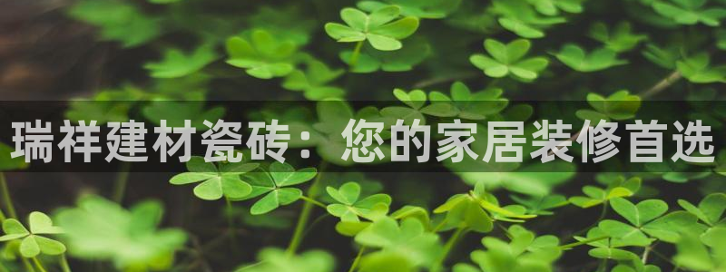 杏鑫注册