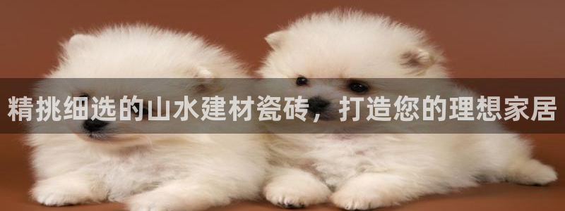 杏鑫官网注册账号密码是什么
