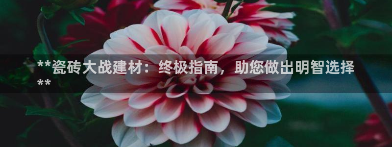杏鑫官网注册账号是什么样的