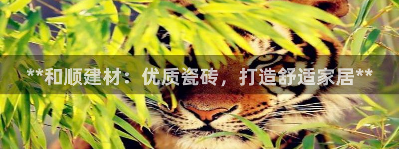 杏鑫娱乐平台测速怎么样
