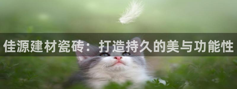 杏鑫娱乐是真的吗