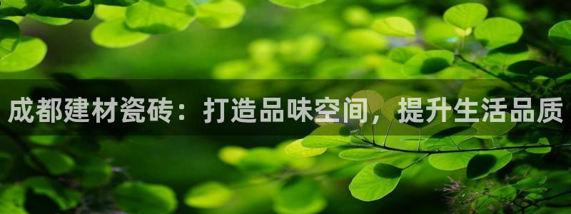杏鑫平台代理注册流程