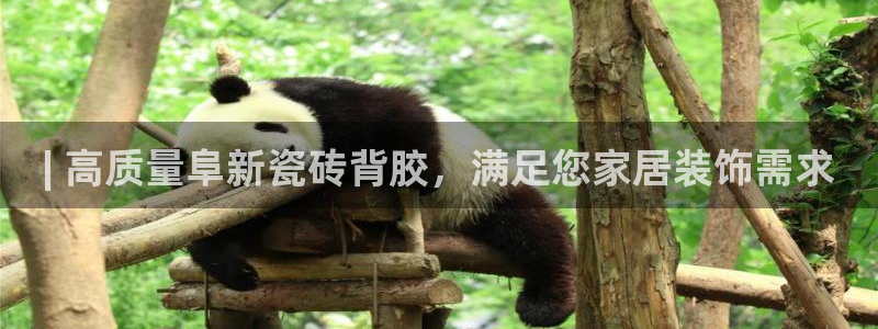 杏鑫娱乐是合法的吗是真的吗