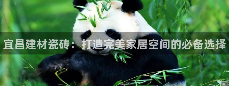 杏鑫平台代理注册流程