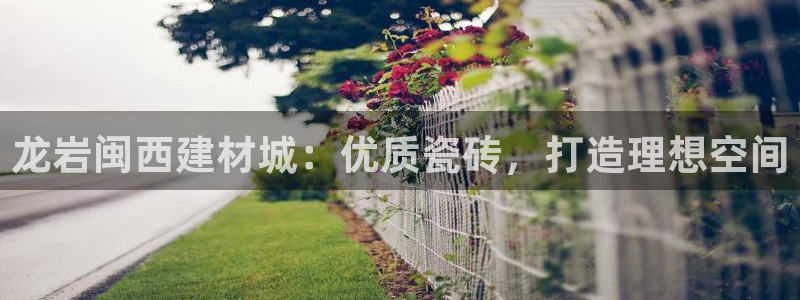 杏鑫平台代理注册流程视频