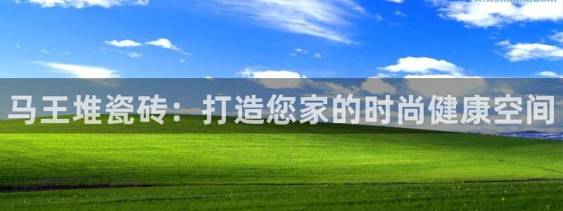 杏鑫平台代理怎么样啊