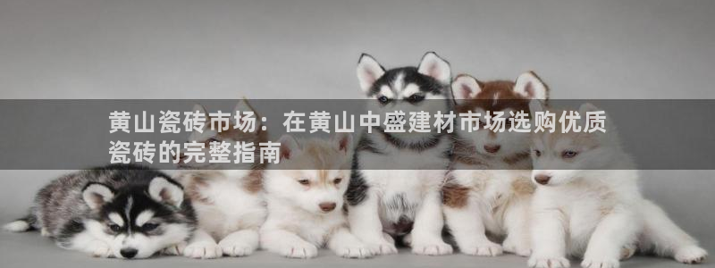 杏鑫平台招商电话
