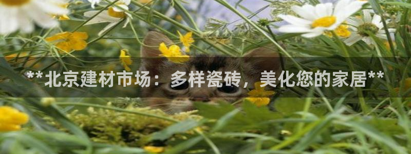 杏鑫娱乐是真的吗知乎