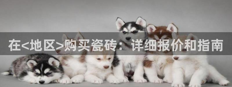 杏鑫注册登录平台是什么