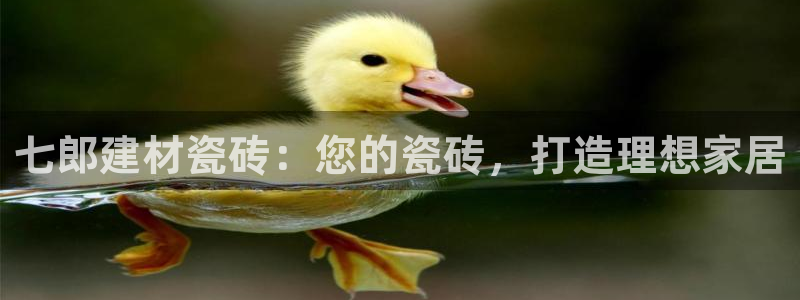 杏鑫娱乐平台