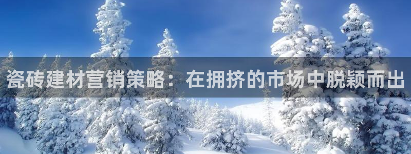 杏鑫注册地址