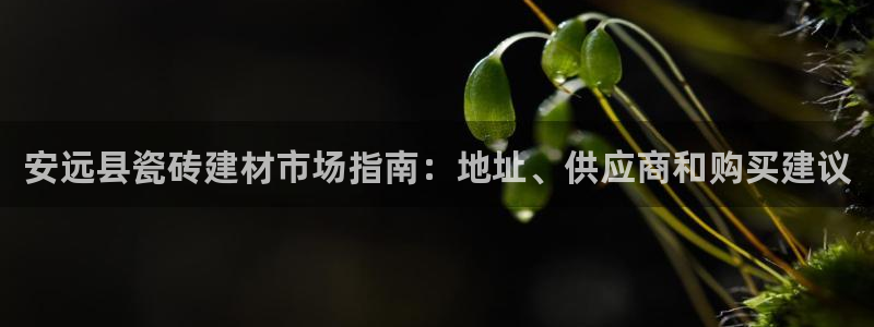 杏鑫娱乐多少年了