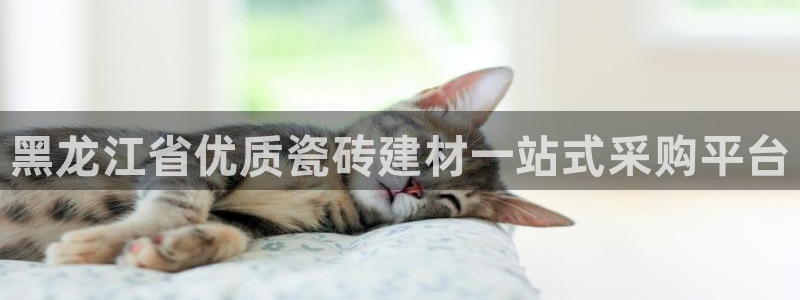 杏鑫平台代理怎么样赚钱