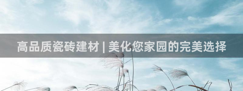 杏鑫招商总代