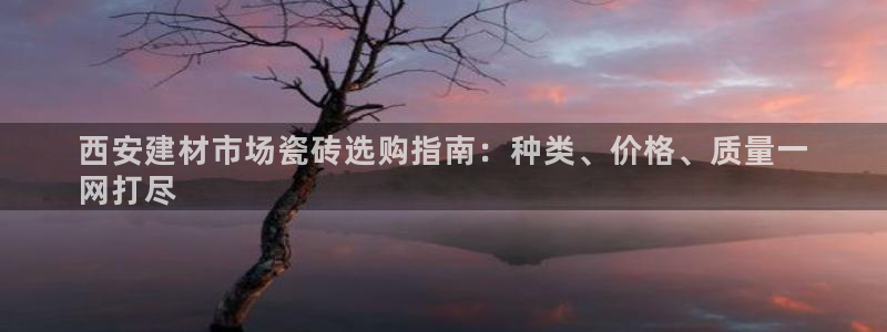 杏鑫平台线路测速