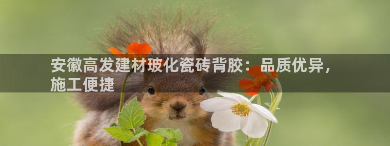 杏鑫平台怎么样
