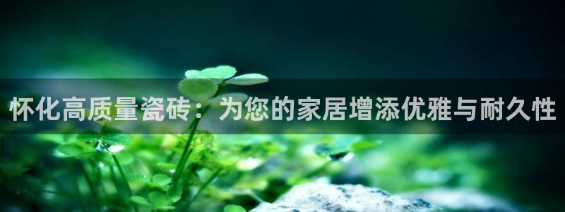 杏鑫平台招商电话号码