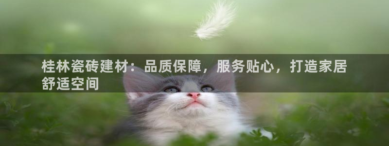杏鑫平台代理怎么样可靠吗