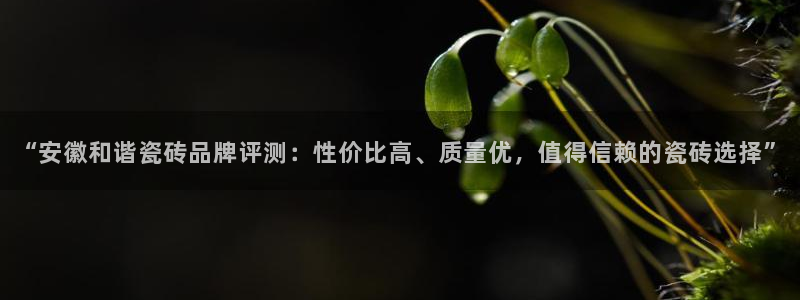 杏鑫娱乐官网