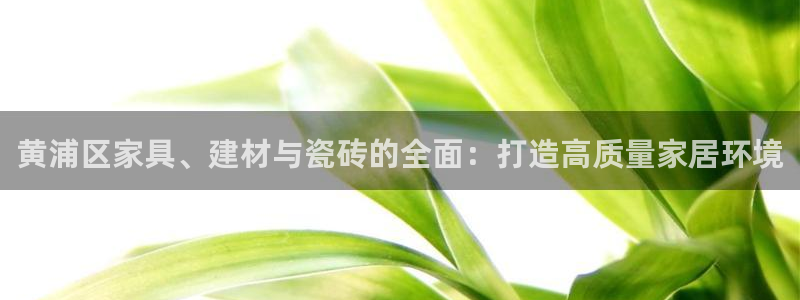 杏鑫平台平台