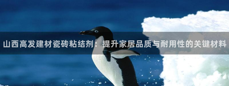 杏鑫平台代理注册流程视频