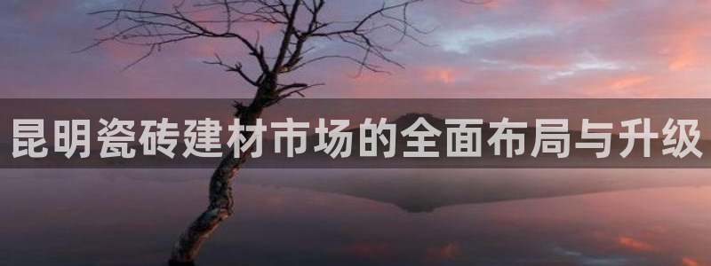 杏鑫手机客户端怎么下载
