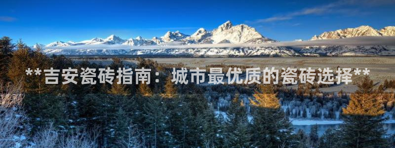 杏鑫平台登录地址查询