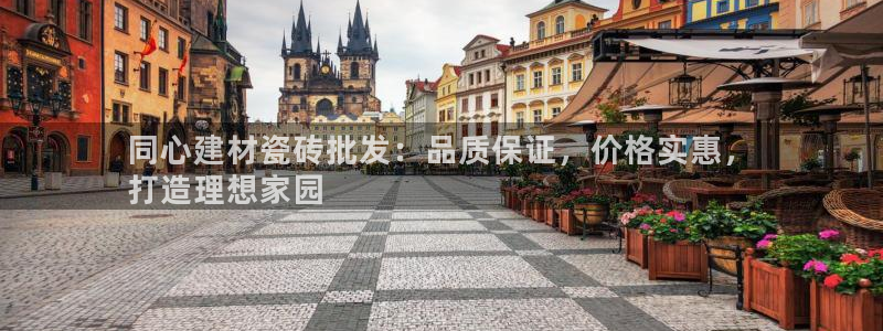 杏鑫平台注册网址