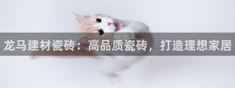 杏鑫注册登录代理公司