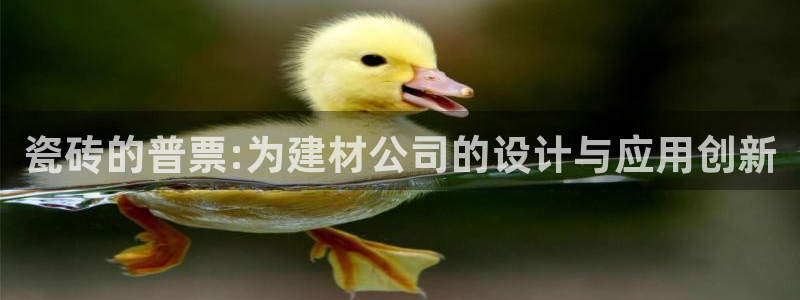 杏鑫娱乐官网登录不了