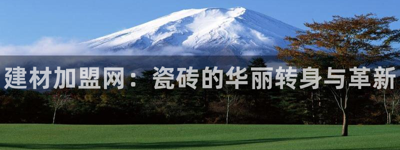 杏鑫官方平台怎么样啊安全吗