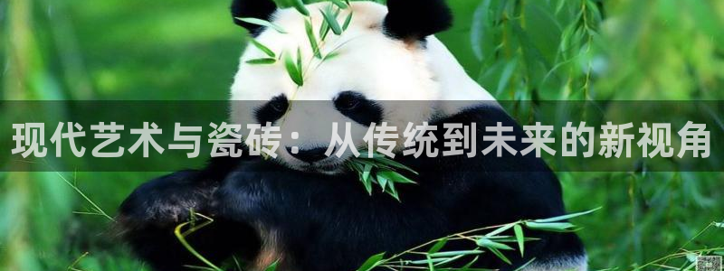 杏鑫官网注册账号密码是什么