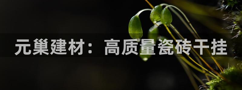 杏鑫平台官方网站